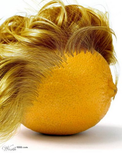 ������� :: ��������� ���� ���� 23