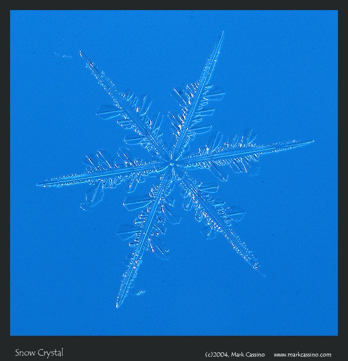 �������� :: �������� ���� 46