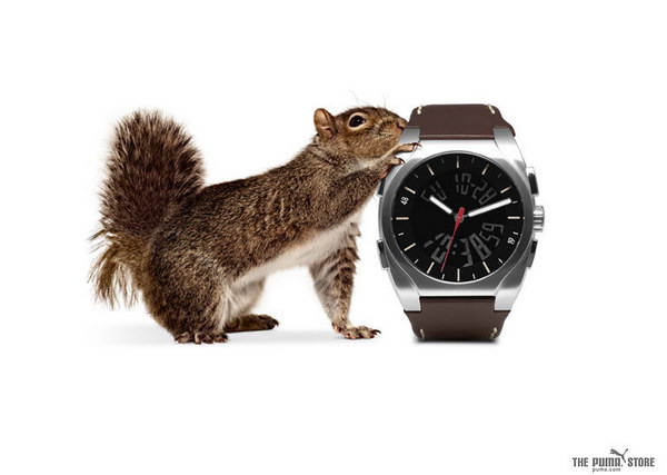 �������� ������� :: Puma ���� 1