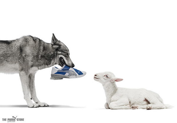 �������� ������� :: Puma ���� 2