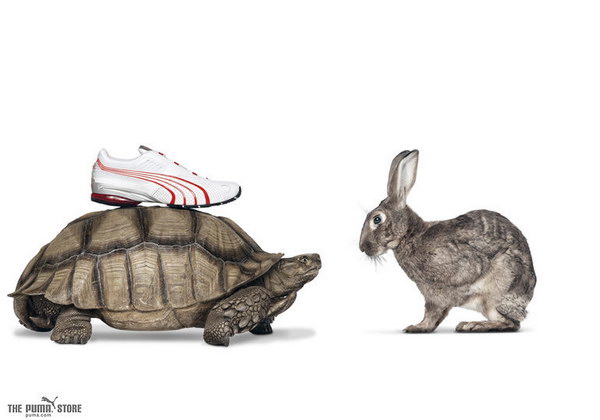 �������� ������� :: Puma ���� 3
