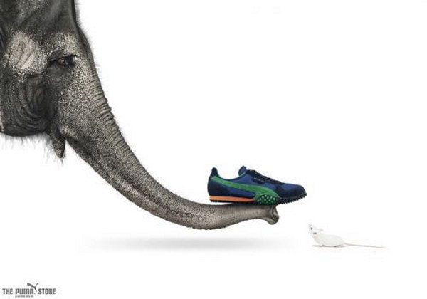 �������� ������� :: Puma ���� 4