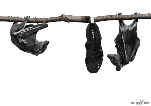 �������� ������� :: Puma ���� 5