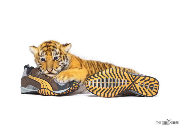 �������� ������� :: Puma ���� 6