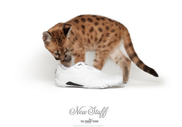 �������� ������� :: Puma ���� 9