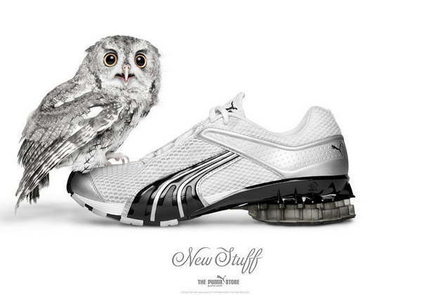 �������� ������� :: Puma ���� 14