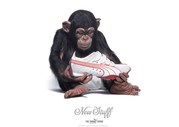 �������� ������� :: Puma ���� 15