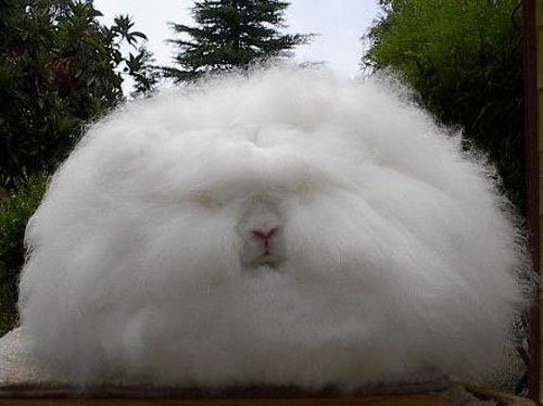 ���������� �������� :: ������� ���� 5