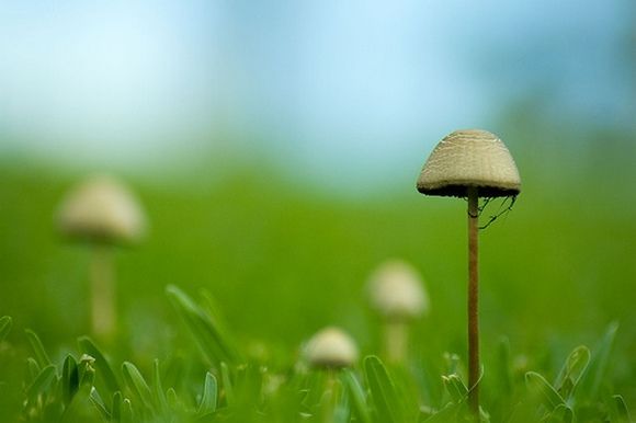 ���������� ������� :: ����� ���� 3