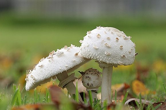 ���������� ������� :: ����� ���� 11