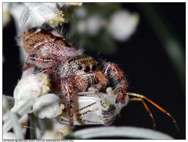���������� �������� :: ������ ���� 16