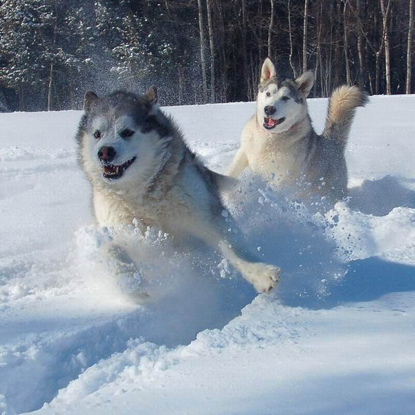 ���������� �������� :: �������� � ����� ���� 6