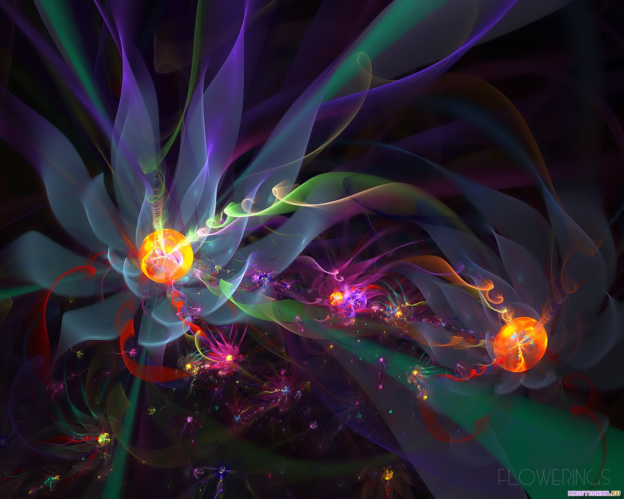  :: 3D  ::  1
