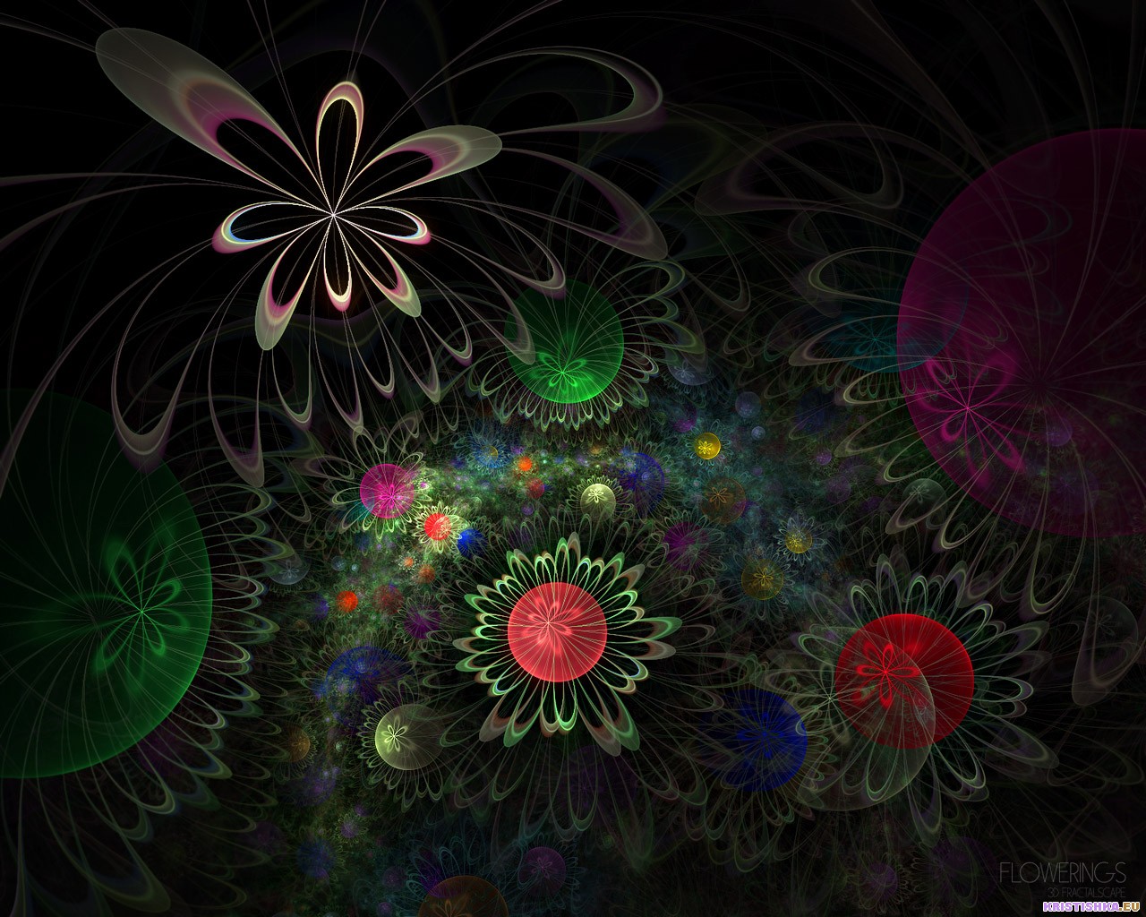  :: 3D  ::  1