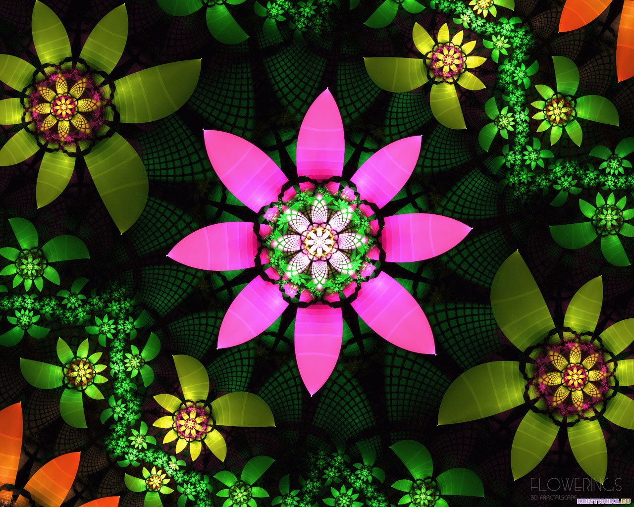  :: 3D  ::  1