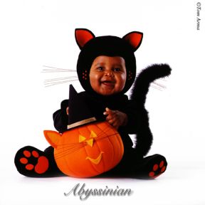 ������ ������ :: ������� ������� ���� 37
