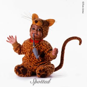 ������ ������ :: ������� ������� ���� 43