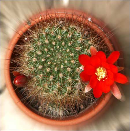 ���������� ������� :: ������ ������ ���� 4