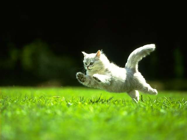 ���������� �������� :: ������ ���� 5