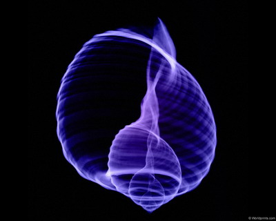 �������� :: X-RAY - ������� ���� 2