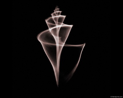 �������� :: X-RAY - ������� ���� 4