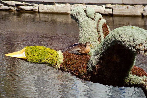 ���������� ������� :: �������� ����� ���� 30