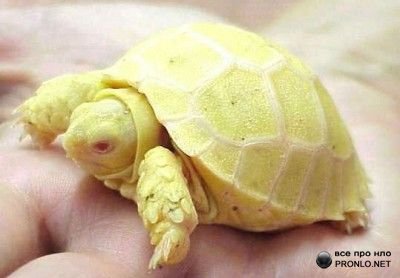 ��������� :: ���������� 1