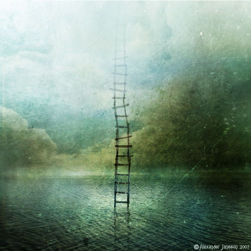 ������� Alexander Jansson ���� 17
