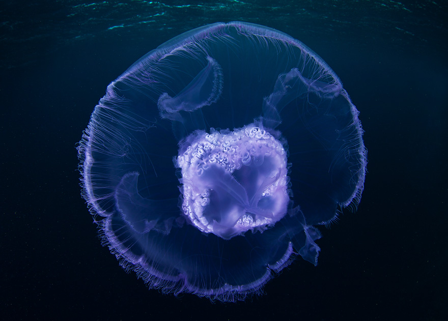   ::  2