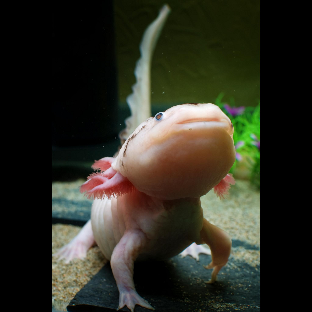 ���� ������� - ��������� :: ���������� 1