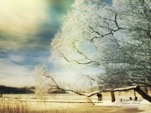 ���� :: �������� Andrea Andrades ���� 6