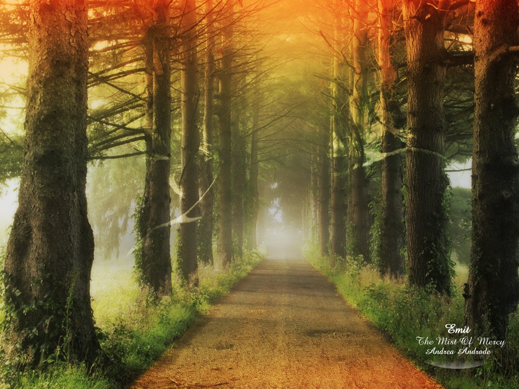 ���� :: �������� Andrea Andrades :: ���������� 1
