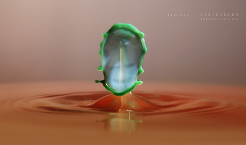 ��������� ����� ���� 13