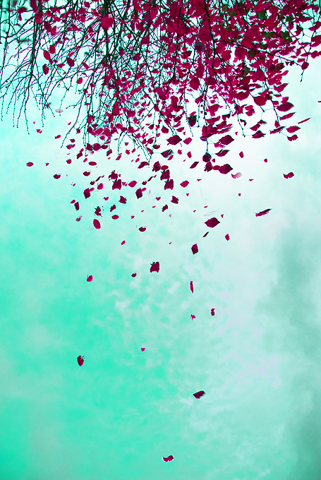 ���������� :: �������� Andrew Hefter :: ���������� 1