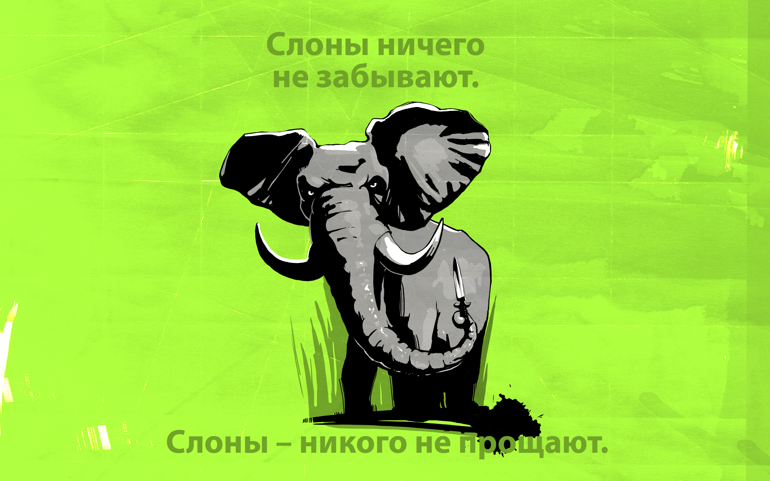 ���� �� ������� ���� :: ���� ���� :: ���������� 1