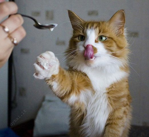 �������� ��� :: ���������� �������� :: ���������� 1
