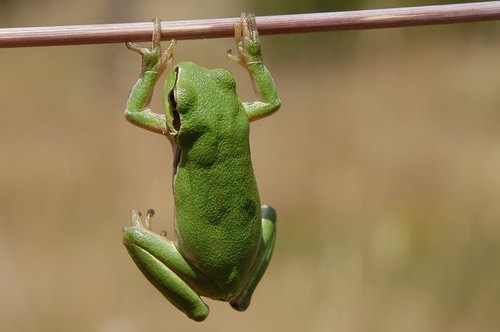 �������� ���� 17