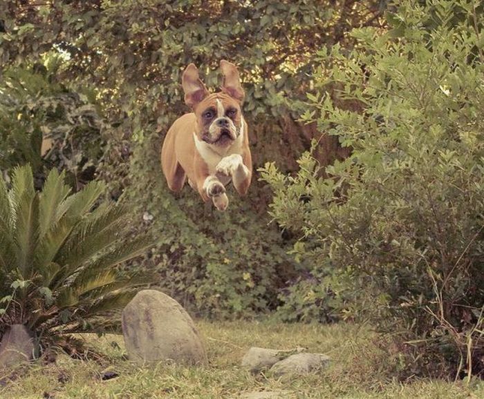 �������� :: ���������� 1