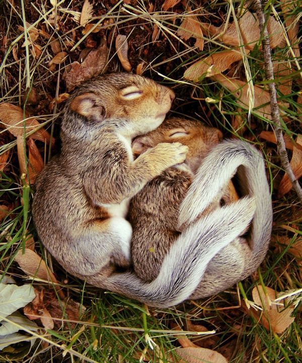 ���������� ������ :: ���������� 1