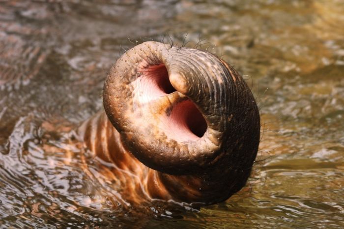 ������ :: ���������� 1
