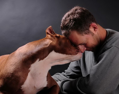 �������� ���� 29