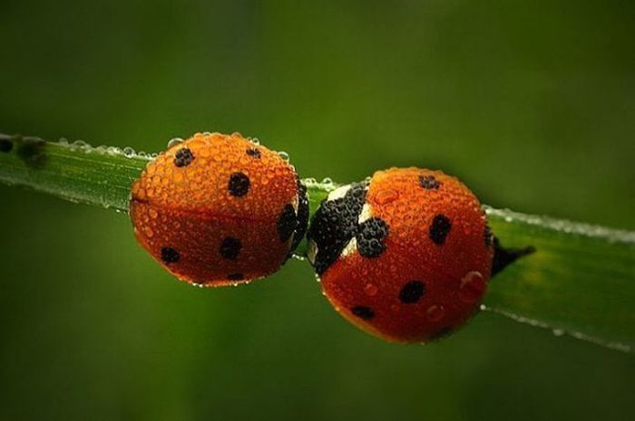 �������� :: ���������� 1