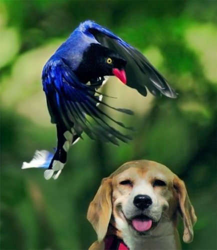 � ���� �������� ���� 43