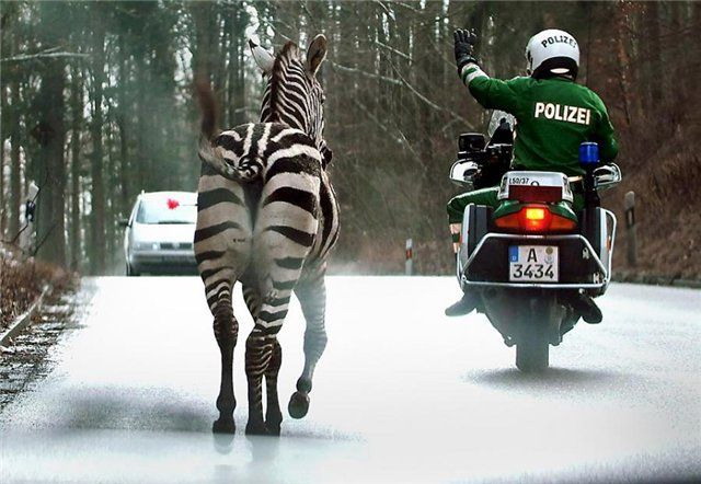 �������� :: ���������� 1