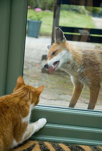 �������� �������� :: ���������� 1