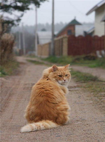 �������� ��� ���� 9