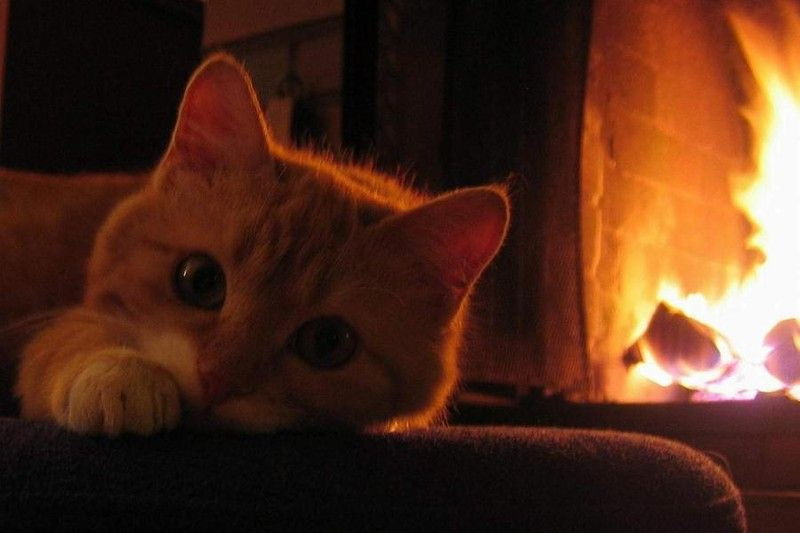 �������� �������� :: ���������� 1