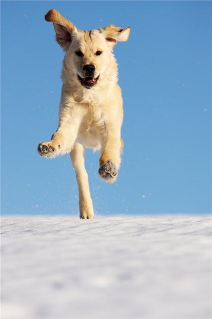 �������� �������� :: ���������� 1