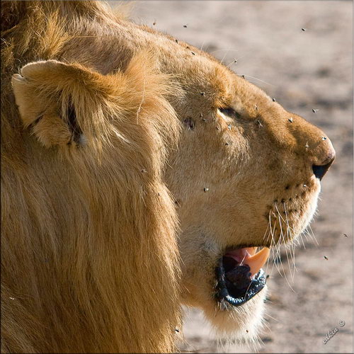 �������� ���� 25