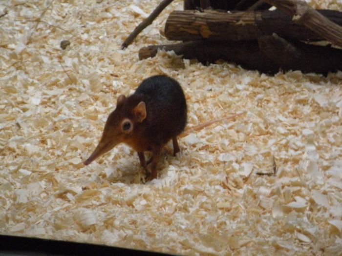 �������� :: ���������� 1